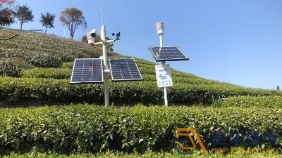 茶廠視頻實(shí)時發(fā)布系統(tǒng)安裝的優(yōu)勢